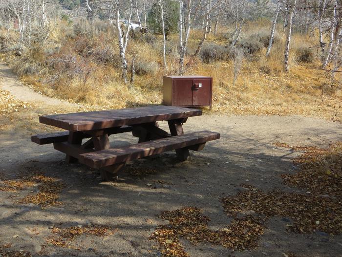 Four Jeffery Campground site #105 featuring picnic table, food storage, and fire pit.