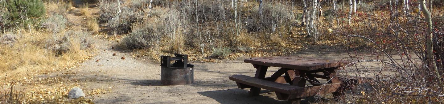 Four Jeffery Campground site #106 featuring picnic table, food storage, and fire pit.