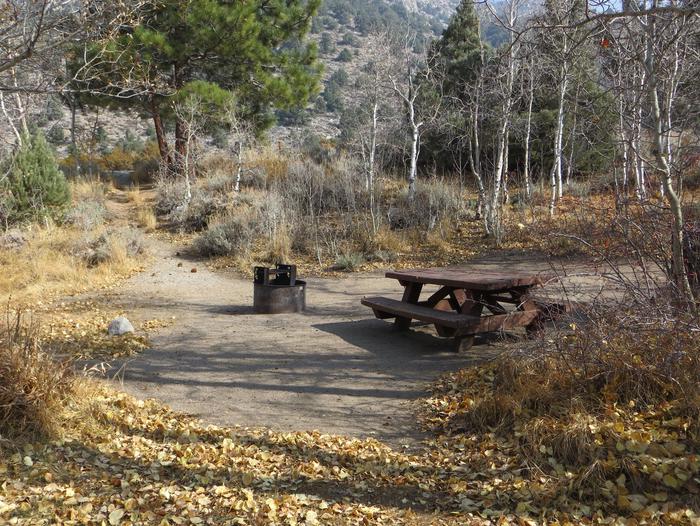 Four Jeffery Campground site #106 featuring picnic table, food storage, and fire pit.