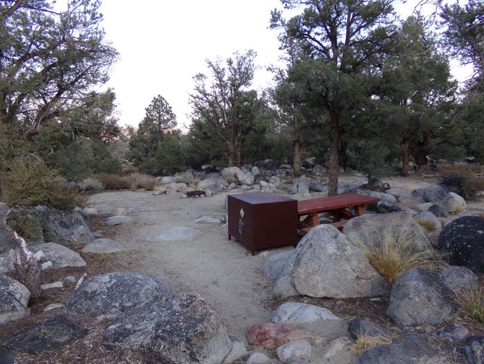 French Camp site #11 featuring picnic table, food storage, and fire pit in this mountain top setting. 