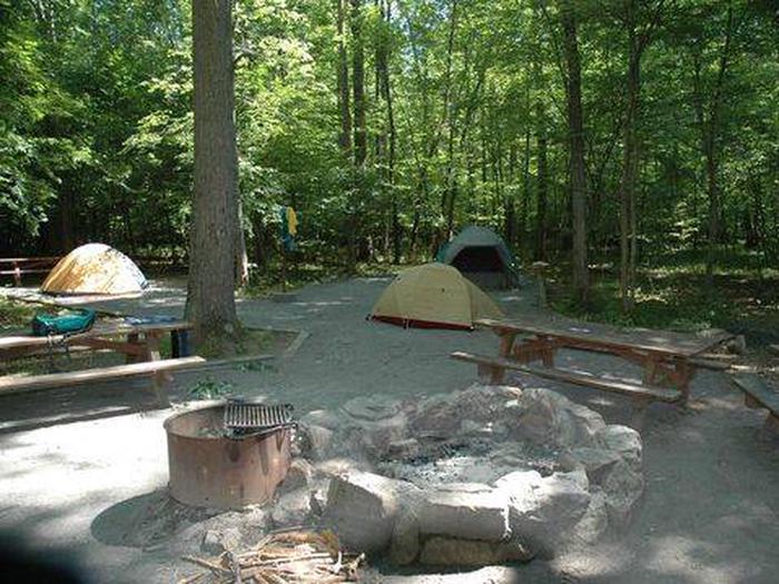 Elizabeth Furnace Group Camp-Site B