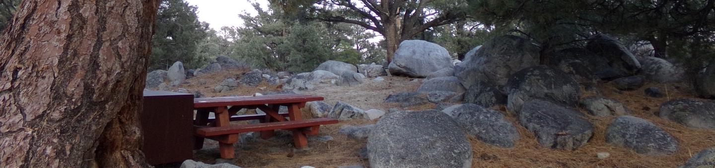 French Camp site #18 featuring picnic table, food storage, and fire pit in this mountain top setting.