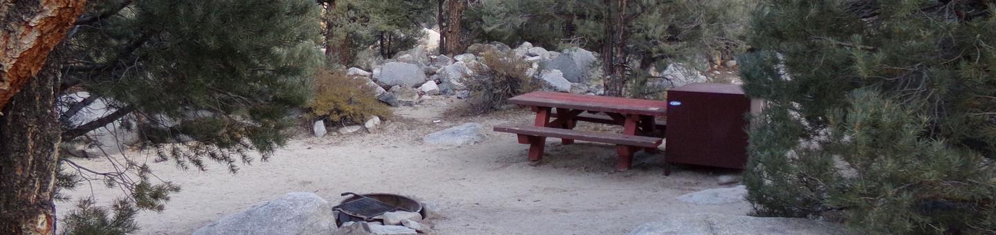 French Camp site #23 featuring picnic table, food storage, and fire pit in this mountain top setting.