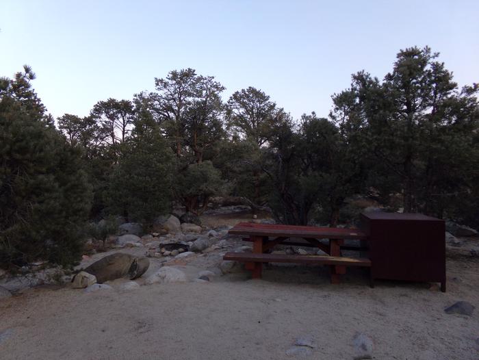 French Camp site #25 featuring picnic table, food storage, and fire pit in this mountain top setting. 
