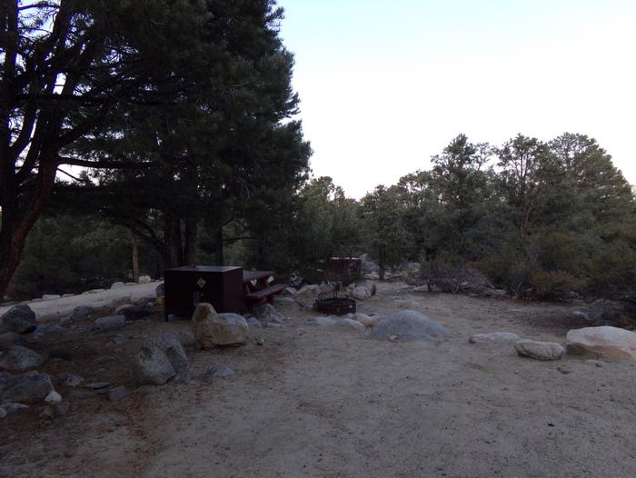 French Camp site #26 featuring picnic table, food storage, and fire pit in this mountain top setting. 