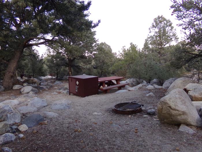 French Camp site #28 featuring picnic table, food storage, and fire pit in this mountain top setting. 