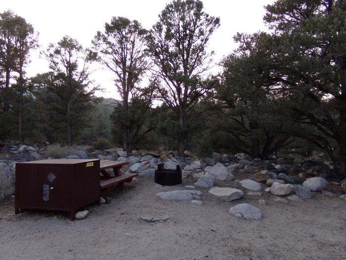 French Camp site #29 featuring picnic table, food storage, and fire pit in this mountain top setting. 