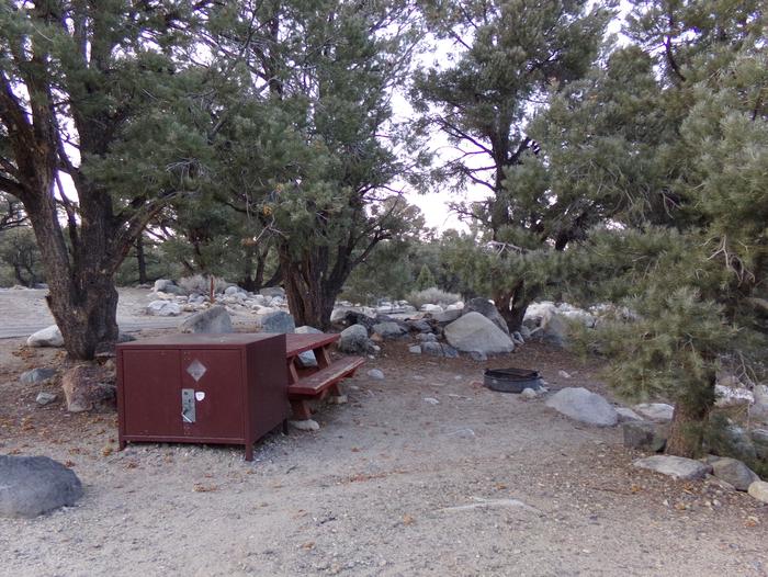 French Camp site #31 featuring picnic table, food storage, and fire pit in this mountain top setting. 