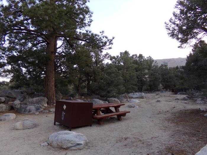 French Camp site #32 featuring picnic table, food storage, and camping space in this mountain top setting. 