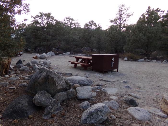 French Camp site #33 featuring picnic table, food storage, and camping space in this mountain top setting. 