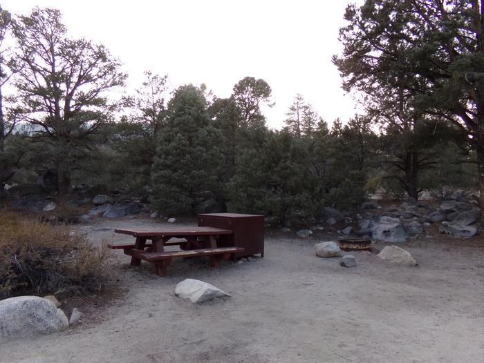 French Camp site #37 featuring picnic table, food storage, and fire pit in this mountain top setting. 