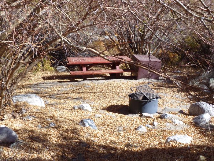 Grays Meadow site #05 featuring picnic table, food storage, and fire pit.