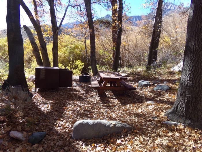 Grays Meadow site #09 featuring picnic table, food storage, and fire pit.