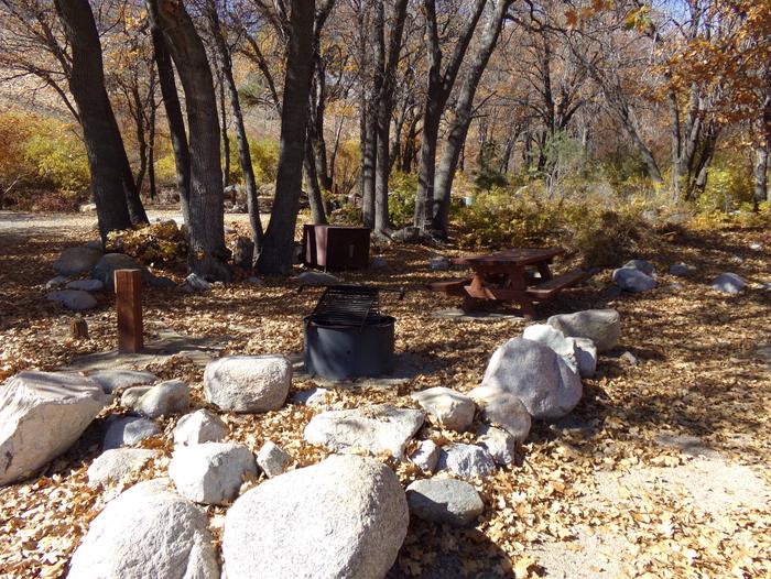Grays Meadow site #14 featuring picnic table, food storage, and fire pit among the trees.