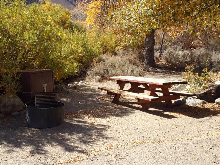Grays Meadow site #17 featuring picnic table, food storage, and fire pit among the trees.  