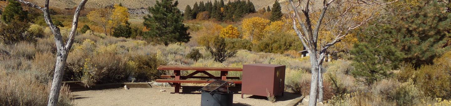 Grays Meadow site #27 featuring picnic table, food storage, and fire pit.