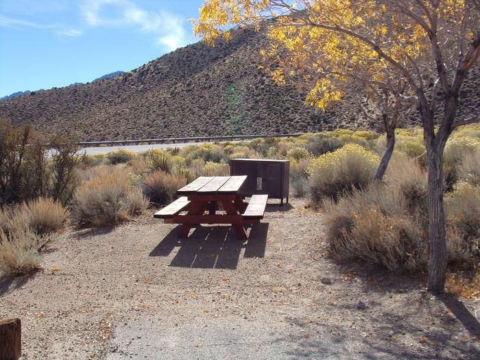 Grays Meadow site #29 featuring picnic table, food storage, and fire pit.