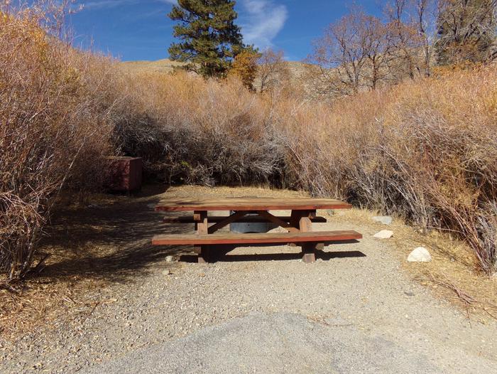 Grays Meadow site #35 featuring picnic table, food storage, and fire pit.