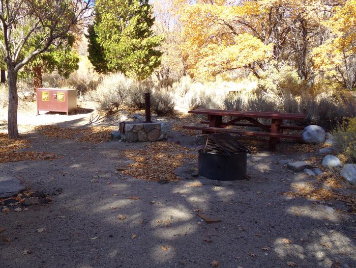 Grays Meadow site #41 featuring picnic table, food storage, and fire pit.