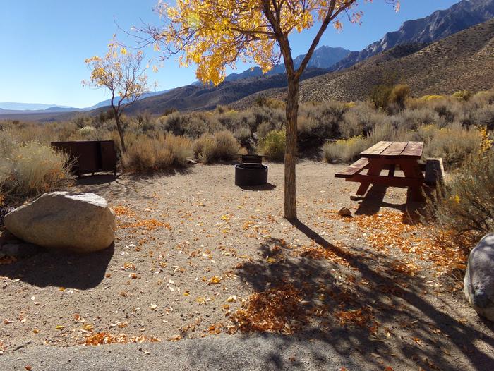 Grays Meadow site #43 featuring picnic table, food storage, and fire pit.