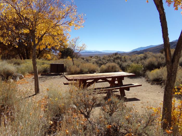 Grays Meadow site #43 additional campsite view with picnic area and panoramic mountain views. 