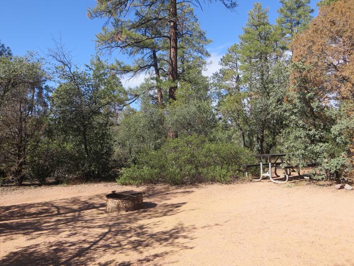 Houston Mesa, Elk Loop site #03 featuring large camping space with picnic table and fire pit. 