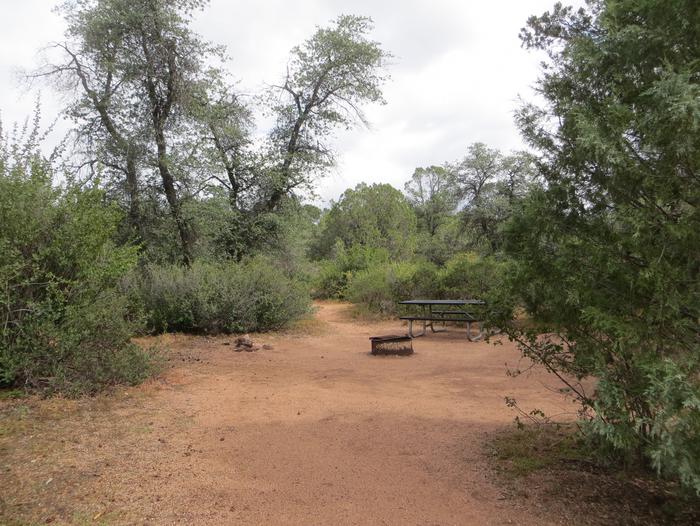Houston Mesa, Mountain Lion Loop site #11 featuring large camping space with picnic table and fire pit.