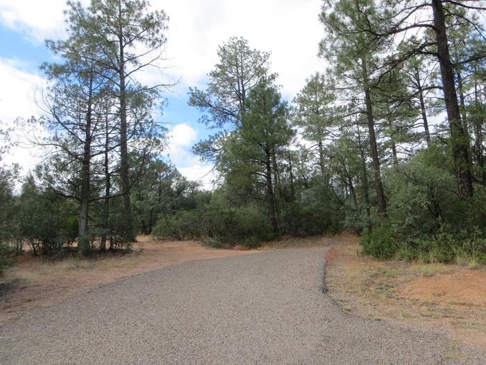 Houston Mesa, Elk Loop site #13 featuring parking and entrance to the wooded site.