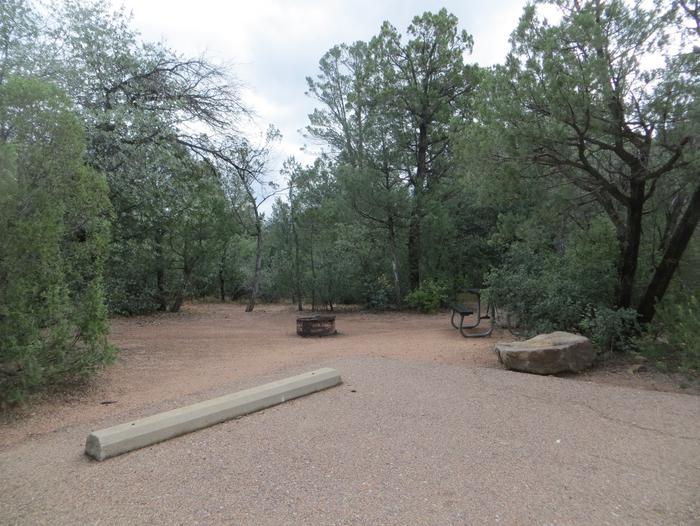 Houston Mesa, Mountain Lion Loop site #14 featuring large camping space with picnic table and fire pit.