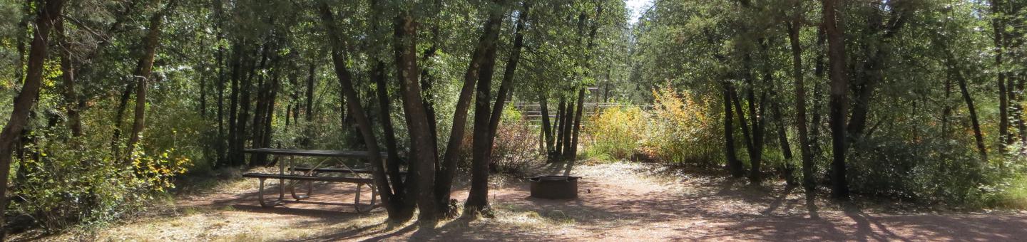 Houston Mesa, Horse Camp site #17 featuring shaded picnic area, camping space, and fire pit.