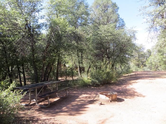 Houston Mesa, Horse Camp site #17 featuring shaded picnic area, camping space, and fire pit.