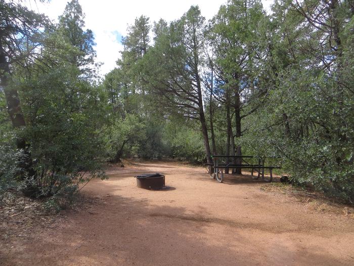 Houston Mesa, Elk Loop site #24 featuring large camping space with picnic table and fire pit.
