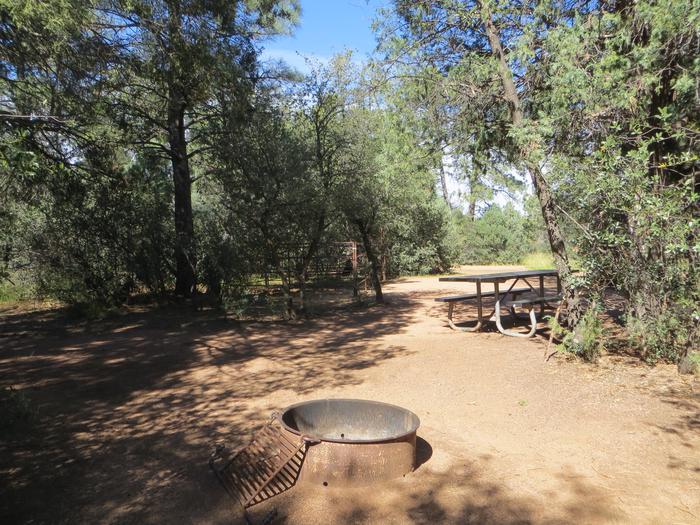 Houston Mesa, Horse Camp site #26 featuring large, private camping space and picnic area.