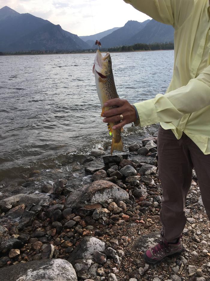 Superb Fishing in Dillon Reservoir