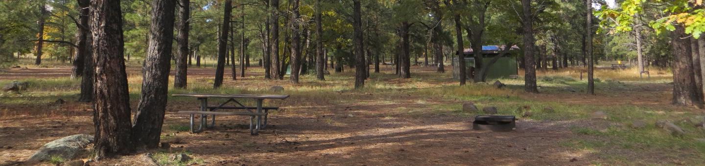 Little Eldon Springs Horse Camp site #01 featuring the wooded picnic area and fire pit. 