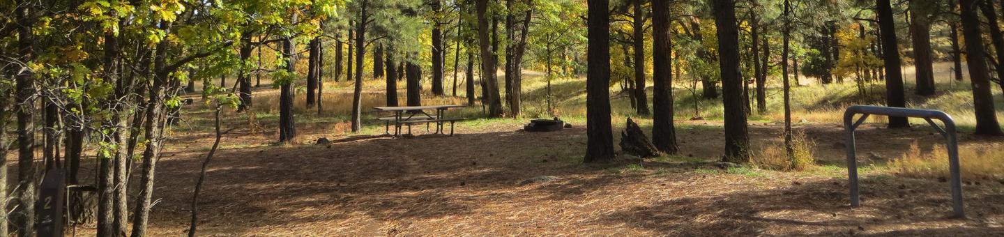 Little Eldon Springs Horse Camp site #02 with full view of wooded campsite, picnic area, and hitching post.