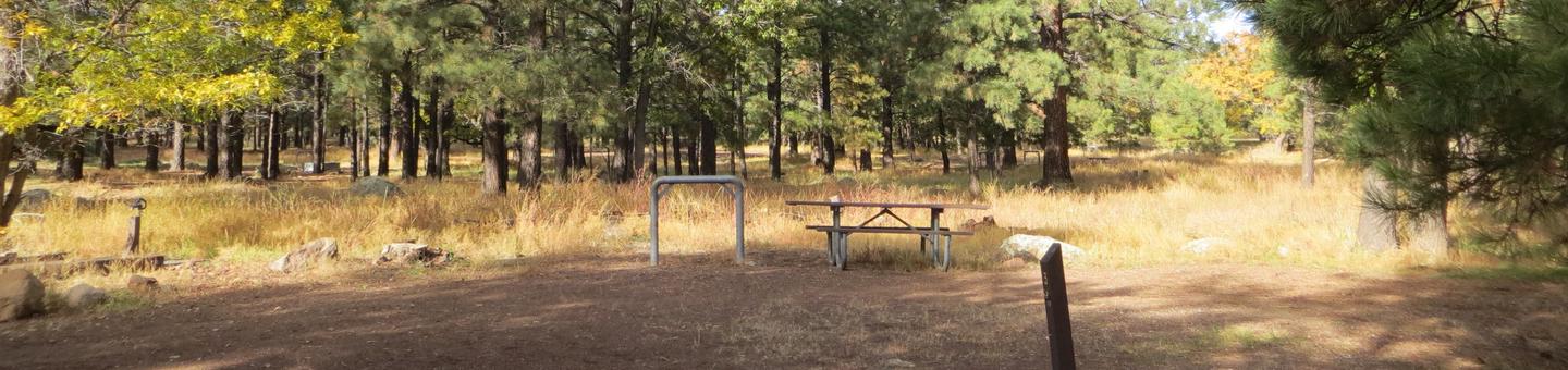 Little Eldon Springs Horse Camp site #03 with full view of wooded campsite, picnic area, and hitching post.