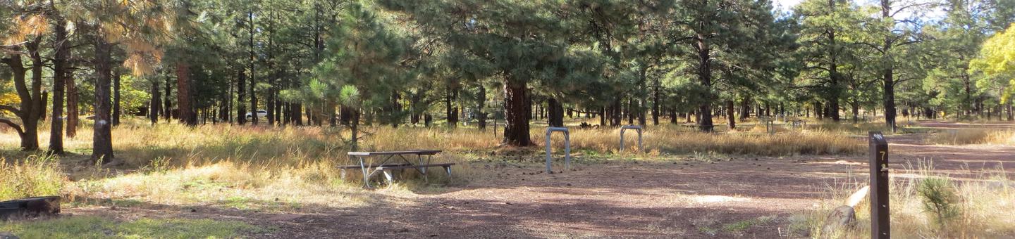 Little Eldon Springs Horse Camp site #07 with full view of wooded campsite, picnic area, and hitching post.
