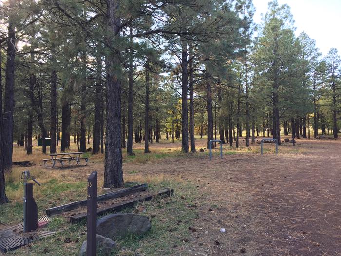 Little Eldon Springs Horse Camp site #13 with full view of wooded campsite, picnic area, and hitching post.