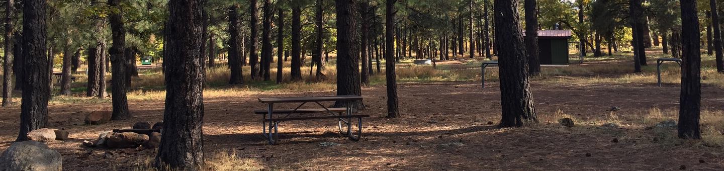 Little Eldon Springs Horse Camp site #14 with full view of wooded campsite, picnic area, and hitching post.