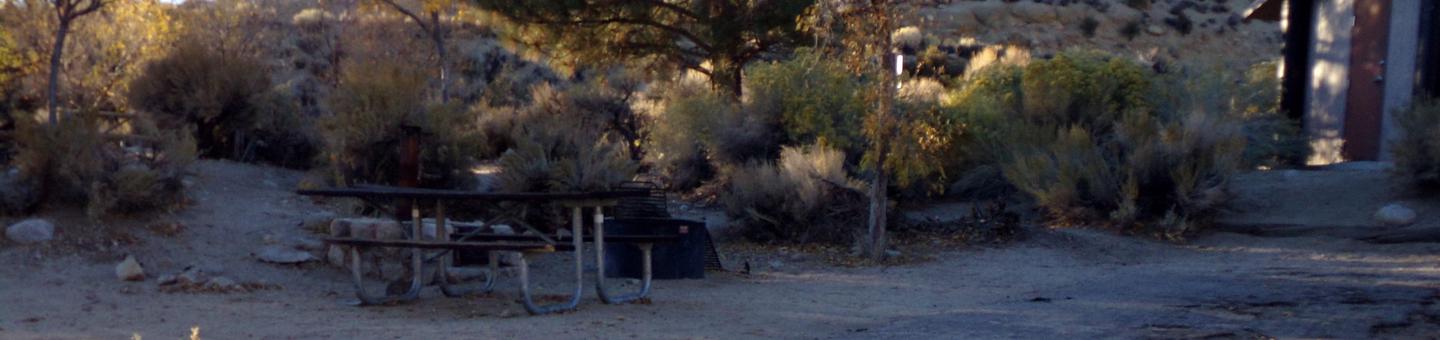 Lone Pine Campground site #10 featuring picnic area and fire pit with mountain views. Lone Pine Campground site #10 featuring picnic area and fire pit with mountain views. Close proximity to restrooms. 
