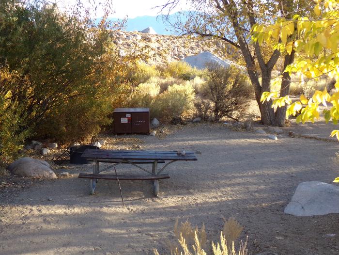 Lone Pine Campground site #14 featuring picnic area, food storage, and fire pit. 