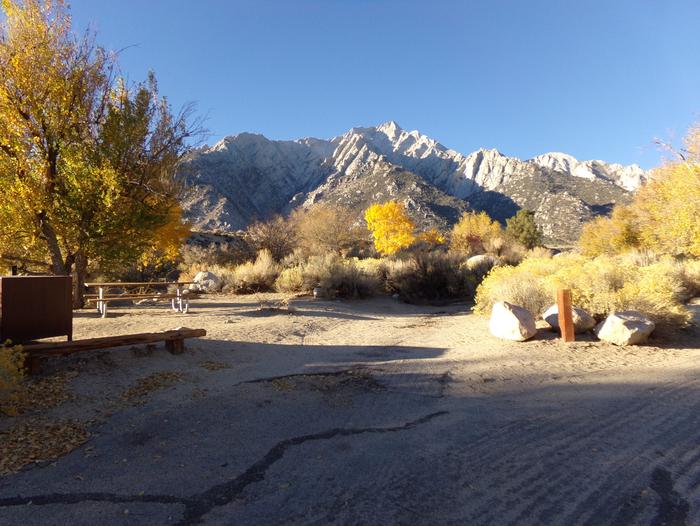 Lone Pine Campground site #16 featuring picnic area, food storage, and camping space with mountain views. 