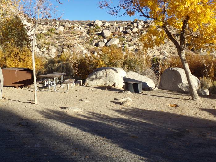 Lone Pine Campground site #20 featuring picnic area, food storage, and fire pit. 
