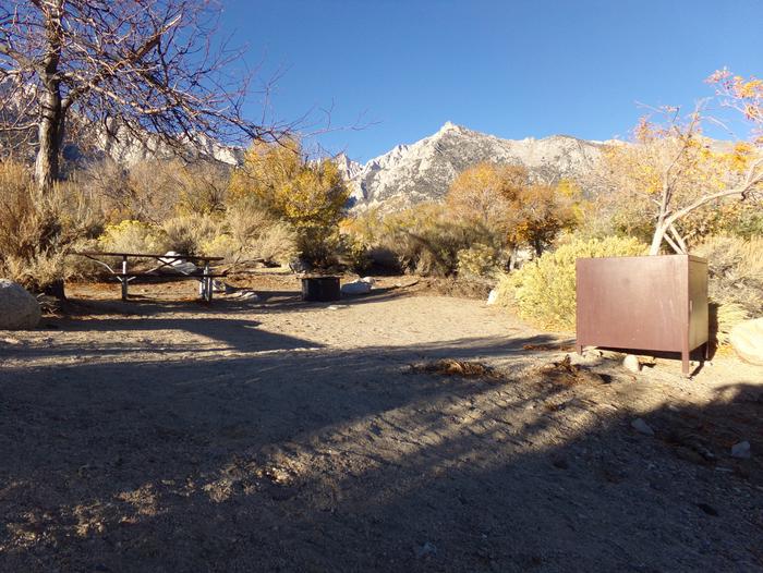 Lone Pine Campground site #24 featuring picnic area, food storage, and fire pit. 