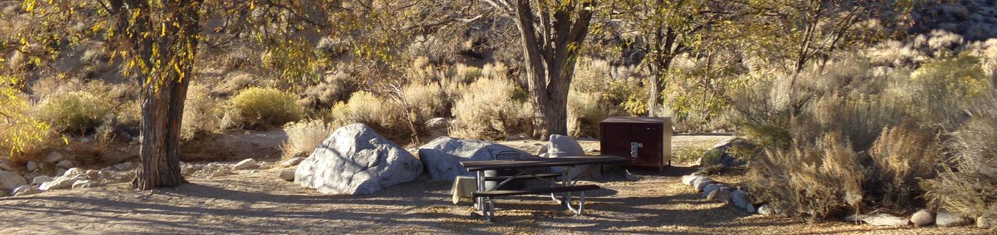 Lone Pine Campground site #26 featuring picnic area, food storage, and fire pit. 