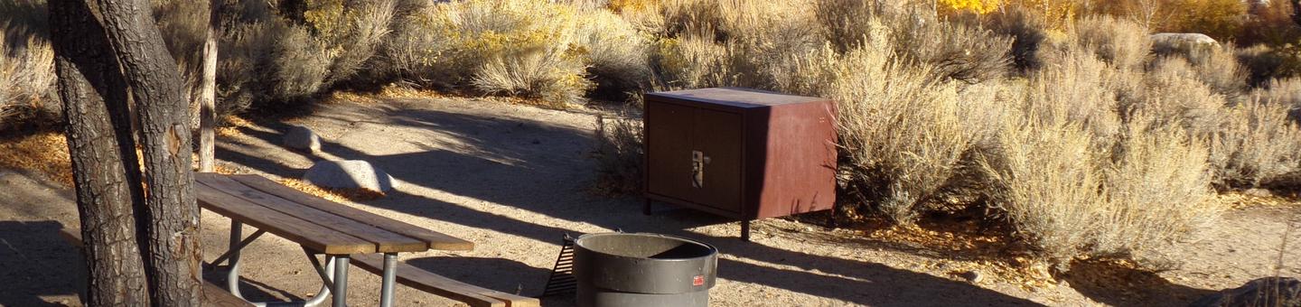 Lone Pine Campground site #28 featuring picnic area, food storage, and fire pit. 