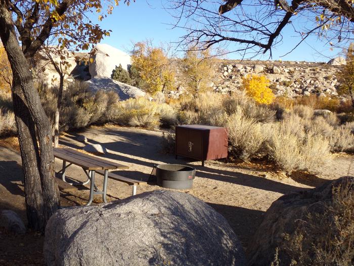 Lone Pine Campground site #28 featuring picnic area, food storage, and fire pit. 