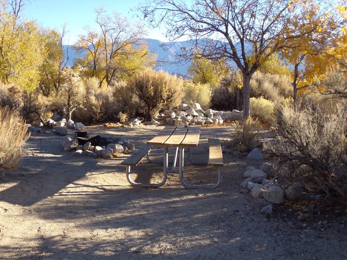 Lone Pine Campground site #34 featuring picnic area, fire pit, and camping space.  