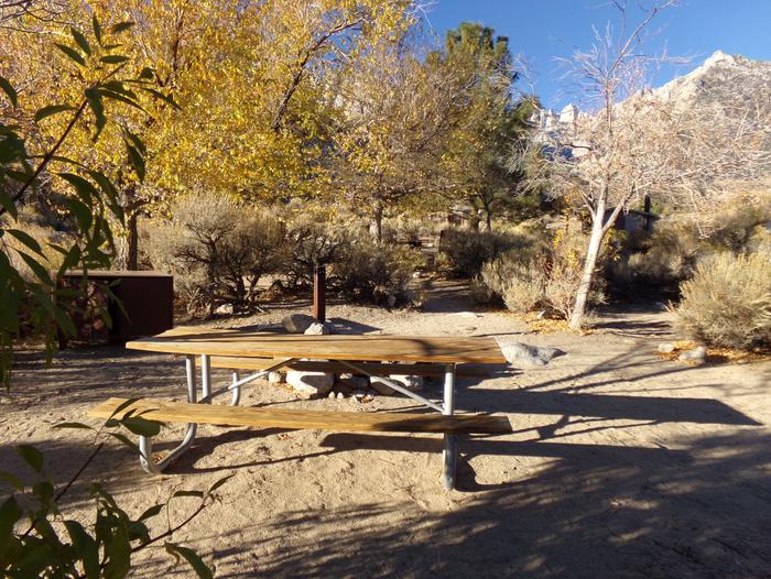 Lone Pine Campground site #36 featuring picnic area, food storage, and camping space with mountain views. 